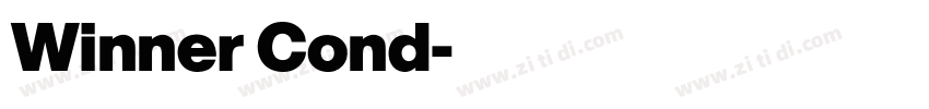 Winner Cond字体转换